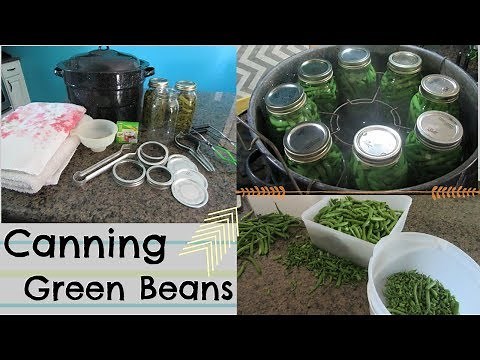 Canning Green Beans | HOW TO!