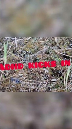 Peat Moss Hunt: Discovering Nature's Secrets in the Wilderness #shorts