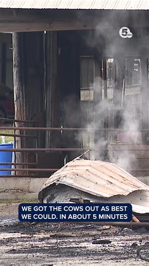 The dairy farm, the largest in Ashtabula County, is home to about 1,100 cows. No people were injured during the fire, but "a few animals" died, said owner Jerry Comp. | News 5 Cleveland
