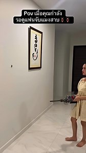 20K views · 77 reactions | How to catch cockroach 荒 | History Facts | Facebook