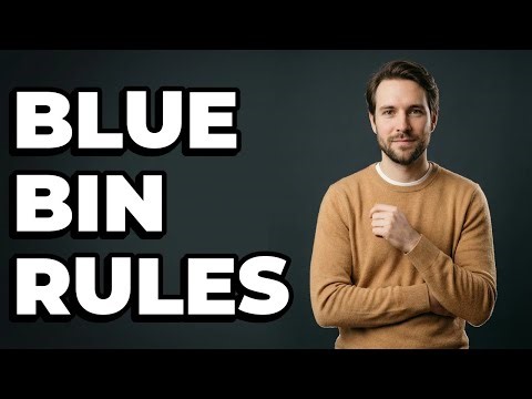 What Paper Waste Do German Blue Bins Take?