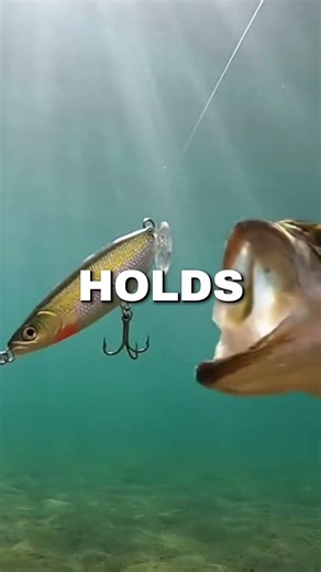 What actually happen when braided fishing line breaks#braidedline #fishingtips #icefishing