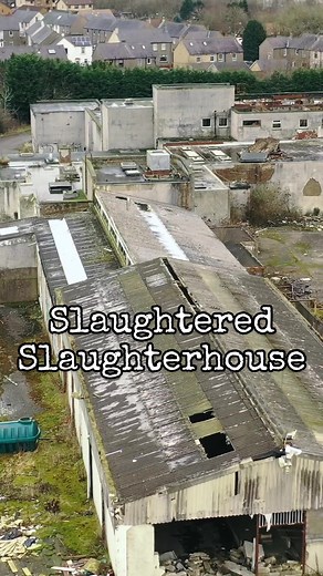 (Youtube: Deviant Discoveries) Part 1. The outside of the old slaughterhouse in #bathgate #livingston #slaughterhouse #abattoir #abattoirs #abandonedslaughterhouse #abandonedscotland #urbexscotland #fyp #foryourpage