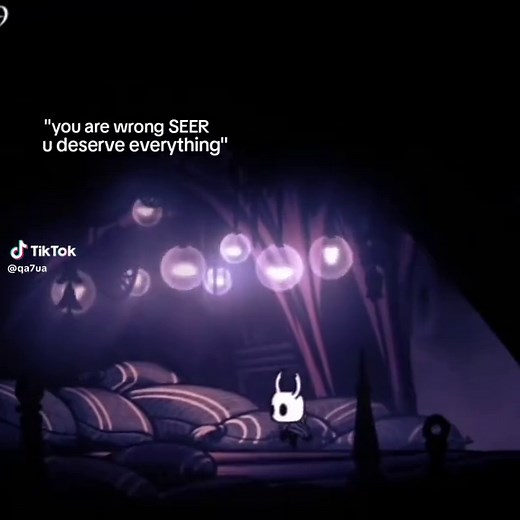 Understanding Seer's Role in Hollow Knight
