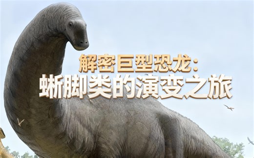 [中配]解密巨型恐龙：蜥脚类的演变之旅 - Animal Origins