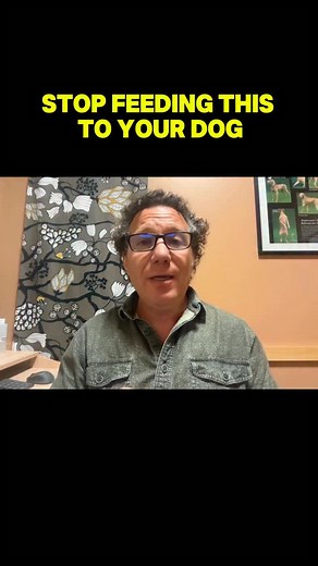 2.6K views · 40 reactions | Most commercial pet foods — kibble and...