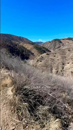 Views like this right off the trail in Colorado 🤯