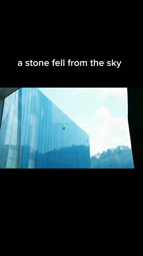 flower movie on TikTok