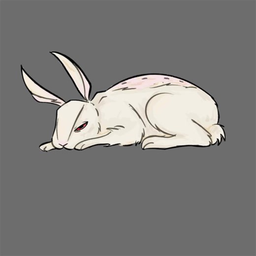 lab rabbit #fyp | rabbits