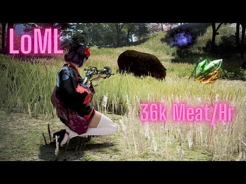 【BDO 黑色沙漠】【狩獵】 20億+ 時薪 / 36k紅肉 / 2000熟練度 晨曦狩獵, 2000 Mastery LoML Hunting / 36k Meat per Hour