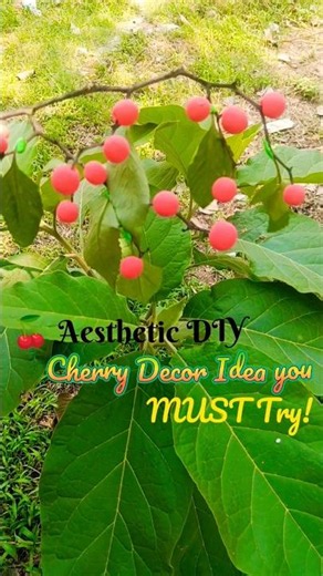 🍒 Aesthetic DIY Cherry Decor Idea You MUST Try!#‪@vaibhumikacraft‬#shorts #viral #trending