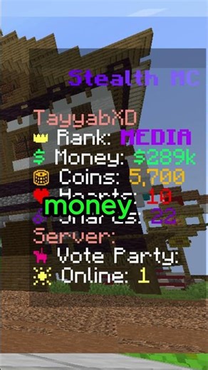 how to get stacked on the world #1 smp #stealthmc #minecraft #minecraftserver #smp
