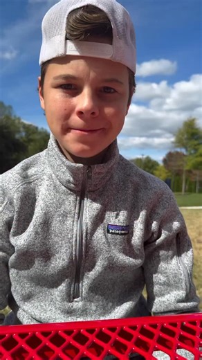 261K views · 559 reactions |  pigeon alarms going off | Freezer Tarps | Facebook