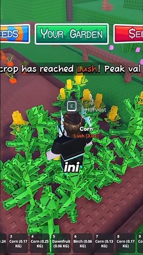 Code redeem baru GARDEN HORIZONS #shorts #roblox #gardenhorizons #feros