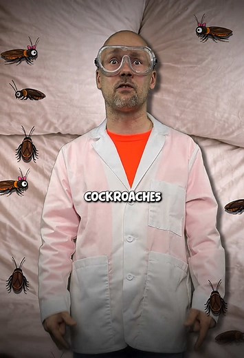 Understanding Why Cockroaches Are Considered Freaky