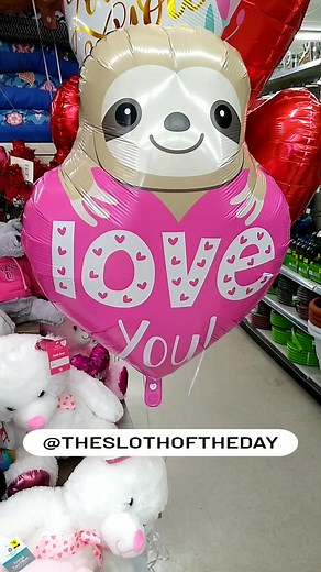 Sloth Valentine's Love You Balloon - found @dollargeneral in Manteca, Ca Follow Us @theslothoftheday for more Visit Us @ Sloth of The Day Https://slothoftheray.com If you like the video please follow Us On The Web ----- Facebook - https://facebook.com/theslothoftheday/ ----- Instagram - https://Instagram.com/theslothoftheday/ ----- Youtube - https://www.youtube.com/@slothoftheday #sloth #slothlove #slothoftheday #follow #slothfollow #slothlife #lovesloths #sloths #adorable #live #animal #animals