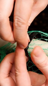 65K views · 205 reactions | Easy DIY Garden Craft With PVC Pipes! | Bored Panda Art | Facebook