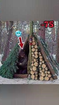 Building a Secret Shelter in a Fallen Tree 🌲 | Bushcraft Log Cabin & Survival Skills #bushcraft