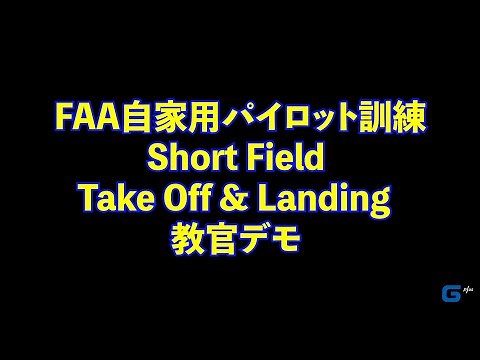 FAAパイロット訓練（教官デモ） 【自家用志望】Short Field Take off & Landing