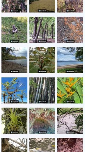 Nature Wallpapers by ufumbuzi.com