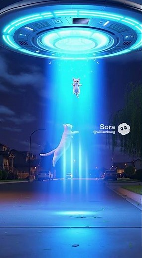 The Cosmic Cat Savior 2 星空のレスキュー：大猫が小猫を救う