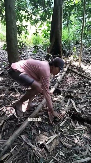 #rabbit #hunting #animallover