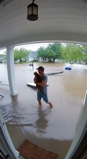 Man Rescues Cat With Gator Nearby!