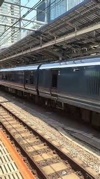 東京駅8番線サフィール踊り子￼￼撮影