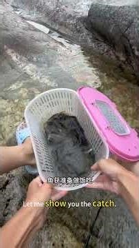 Fishing Grouper in Mountain Stream, Cook with Spring Water Freshness #fishing #cooking #food