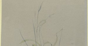 John Ruskin and the Elements of Drawing