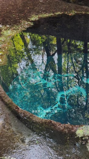 富士山の雪解け水と日本三大清流の魅力