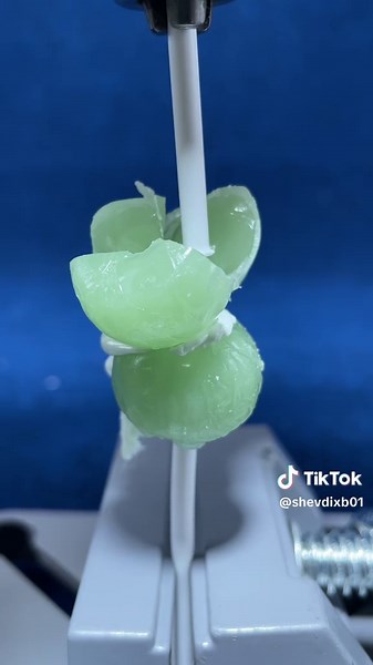 I tested the friction with a lollipop #experiment