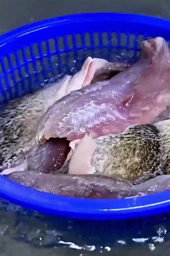 🔥 ¿Sigues usando hielo en cubo o barra? Estás perdiendo dinero sin darte cuenta.