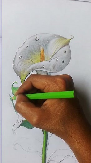 How to draw flower using pencil colours ( Easy Tatoreal) #art #sketch #painting #viralvideo