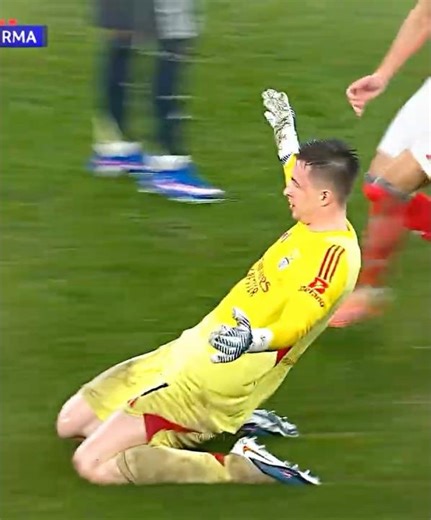 Best goalkeepers goal’s 🧤