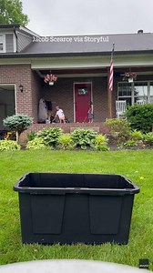 94K views · 178 reactions | Dad's adorable reaction to his kids impressive golf shots  | The Sun | Facebook