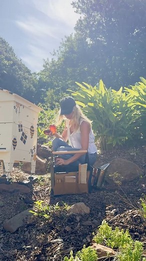 Flow® Hive | Looking for the perfect gift? 🌸 Our Flow Hive Gift Guides are now live, filled with thoughtful ideas for gardeners, foodies, families, and... | Instagram