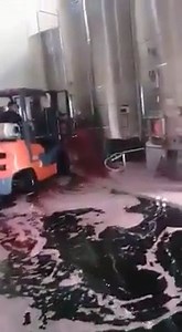 5.3K views · 45 reactions | La festa del vino  | Rivista Logistica | Facebook