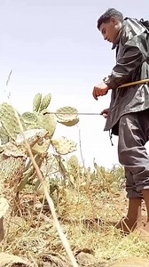 أحسن بحيرة طبعية 🥒🍊 #البادية #مني_فلوق #routine #maroco #VELOGE | حياة البادية مع أبي