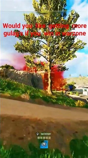 Would you like getting more gulag's if you win in warzone