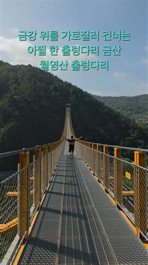 #금산가볼만한곳#월영산출렁다리고양이#월영산출렁다리길이#충남여행#아찔한출렁다리#국내여행지추천#등산스타그램#인생샷명소#대전근교나들이#핫플탐방#무서운출렁다리#개냥이#고양이