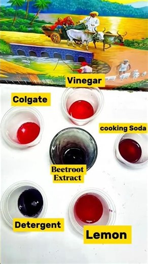 Beetroot Experiments ।। #shorts #trending #colors