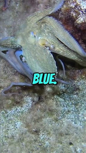 “Weird Fun Facts That Will Blow Your Mind"