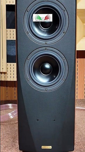 Opera Quinta SE + Amply Unison Research S6 . #bahungaudio #music #speaker #viral #audio