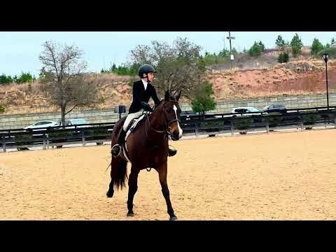 Mister Cellophane & Kayden 2nd Hunter PSJ St Patrick's 03-15-26