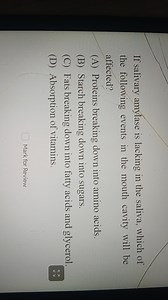 If salivary amylase is lacking in the saliva, which of the foll... | Filo