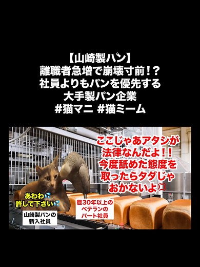 山崎製パンの社員離職問題についての解説