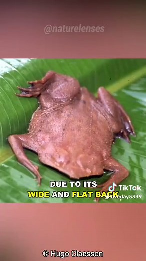 ‏#capcut #fyppppppppppppppppppppppp