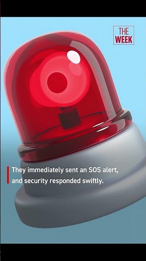 Australian women cricketers harassed in Indore; accused in custody