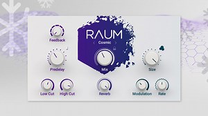 【Native Instruments】RAUM レビュー【クリエイティブリバーブ】